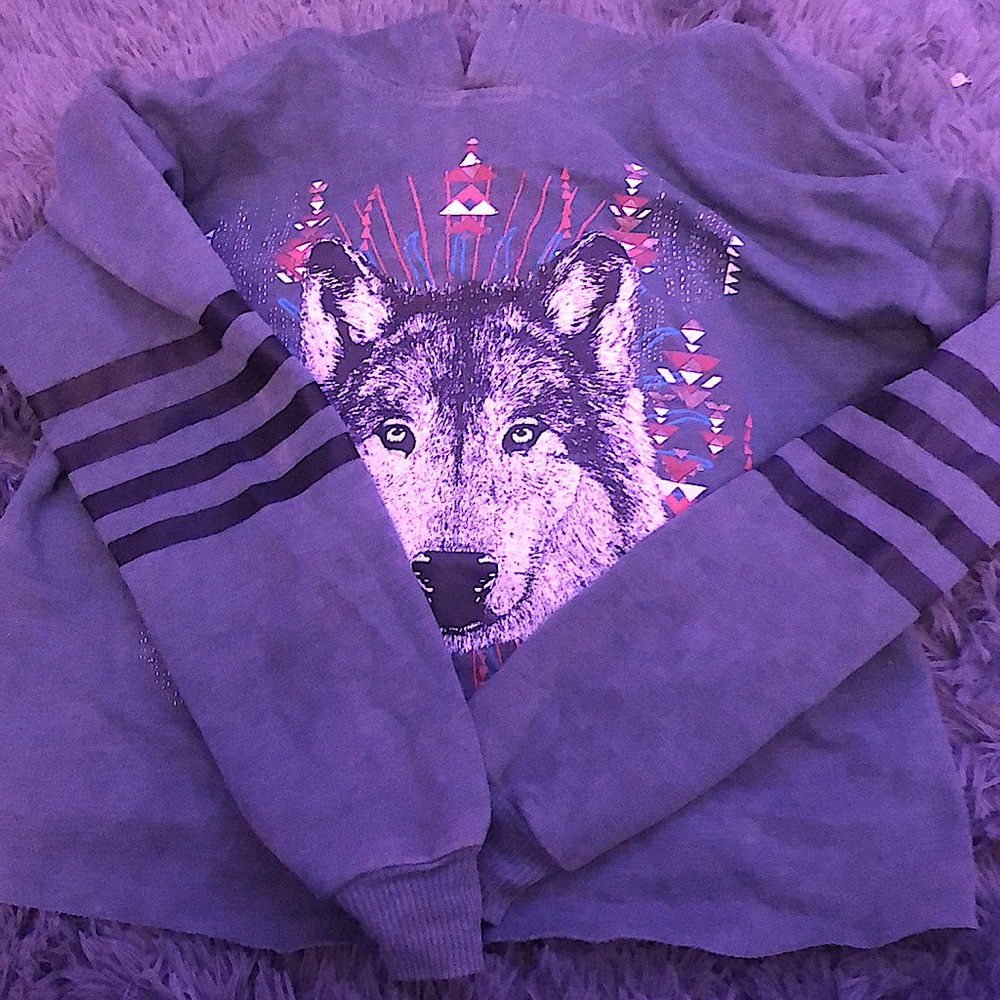 Green Vintage Wolf Cropped Hoodie